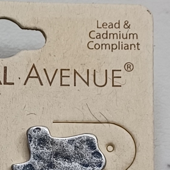 NWT Texas State Silvertone Western Boho Stud Earrings - Picture 3 of 5